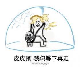 皮皮虾我们走的梗怎么突然火的皮皮虾我们走表情包