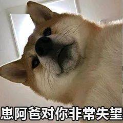 事发荣军路11岁娃崽做这事被抓再不管这辈子就毁了