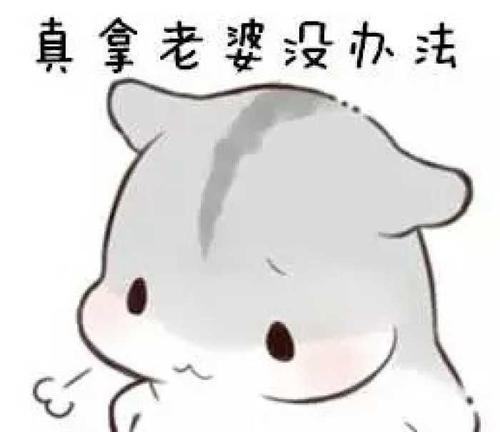 仓鼠表情包我生气啦,哄不好的那种