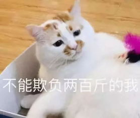 腰痛忍到后来走不了路,近七成病患是年轻人洛桥