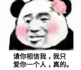 分享一组超土的情话表情包,土但实用