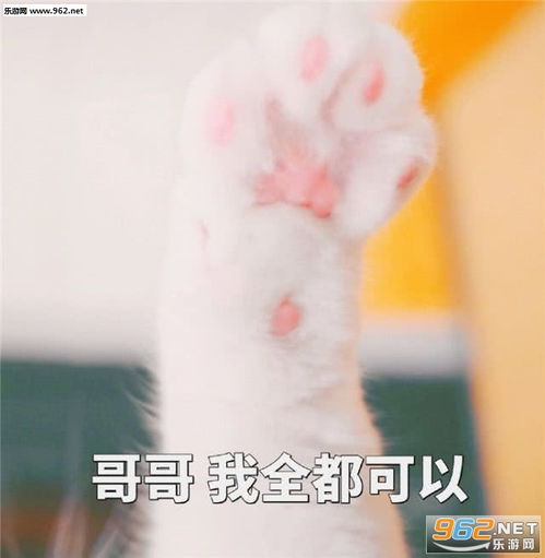表情请问挂什么科图片妈妈扎紧点漂亮表情包图片下载乐游网游戏下载表情