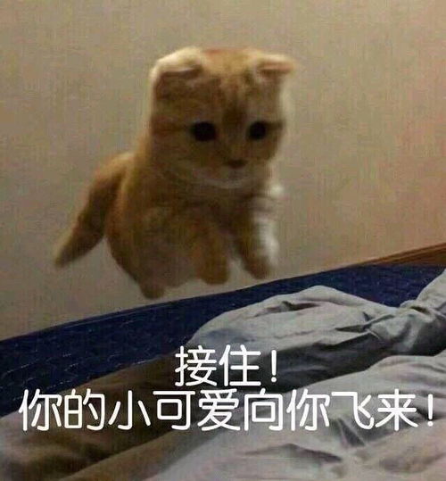 这是一个造福人类的小组