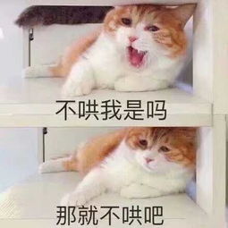 收藏夹