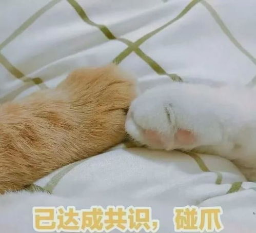 想你想你睡不着表情包什么时候