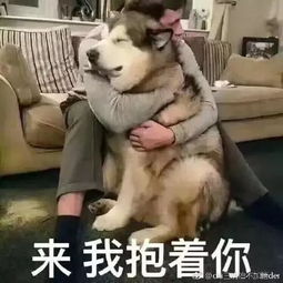 考试结束后,大家都很关心这件事