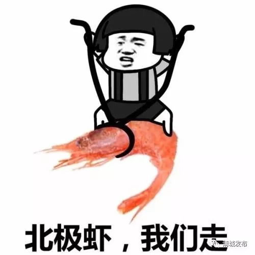 乡村新闻官清城播报丨戴上防晒帽的黑皮冬瓜,你见过吗