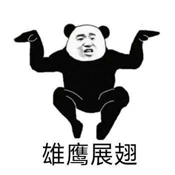 沙雕熊猫头我这么靓仔,是不会骗你的