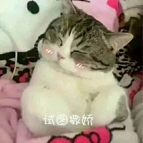 迎新欢迎来到第二临床学院