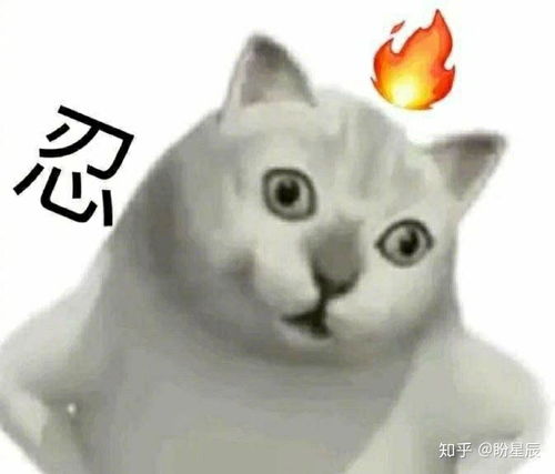 能下载传说之下的软件表情包猫咪
