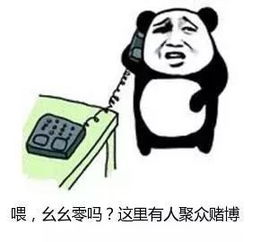 活该开赌场放高利贷拉萨6名犯罪嫌疑人被刑拘