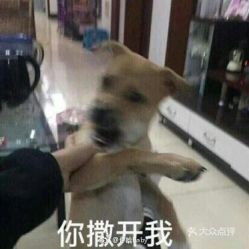 电话,地址,价格,营业时间六安美食