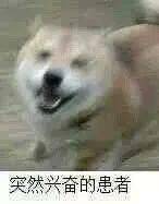 小狗狗偷吃的样子,也太可爱了吧