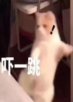 2019最骚鸡王图片吓一跳的图片表情包下载乐游网游戏下载