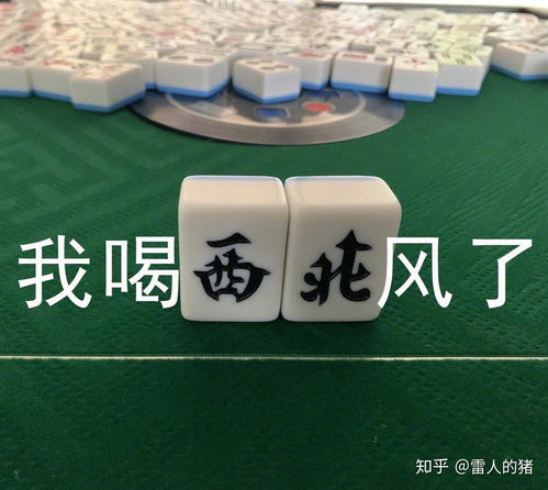 有没有朋友能提供一张喝西北风的搞笑图片