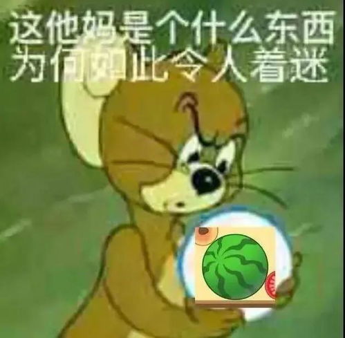 撩人的表情包组合大西瓜