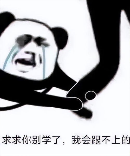再哔哔用这个叉你