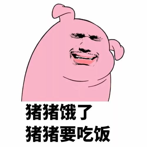 在珠海假期结束的第一天唯有美食的力量能拯救起不来床,上不来班的我