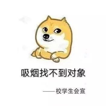 2019春季沙雕趣闻合集每个都超搞笑哈哈哈