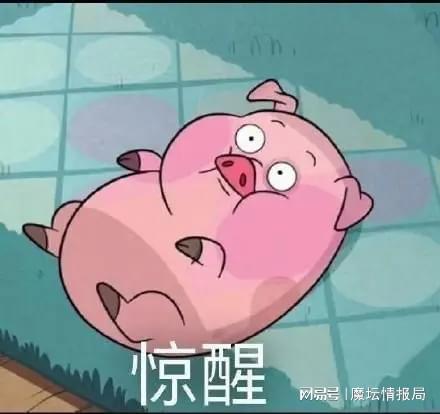 奇美拉骑脸嘎嘎乱杀抱上lyn神大腿,彩色也能养猪了
