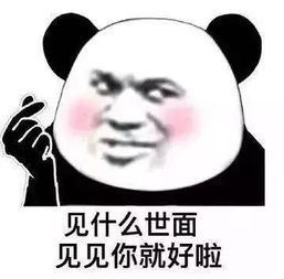 今日表情包朕,不允许你聊天输给别人