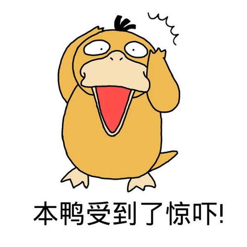 可达鸭玩具表情包滑稽