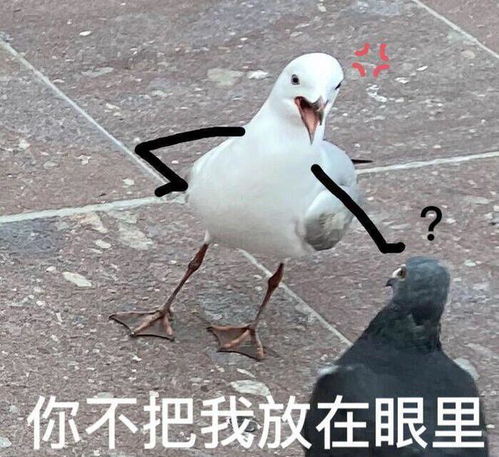 咕咕鸽子沙雕表情包