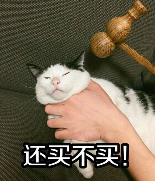 黄磊大s都在用,健康辅食全靠它,让宝宝一口爱上吃饭