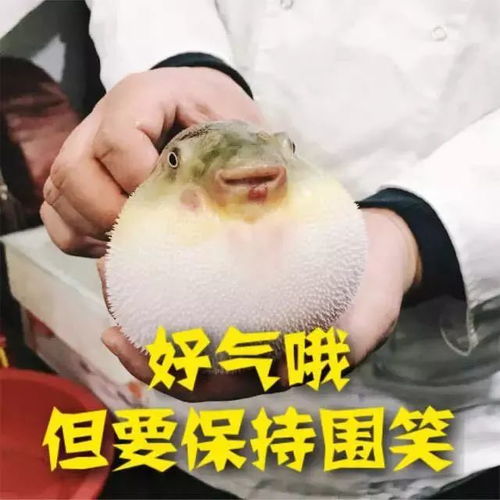 暑期美食指南浪在江鲜之乡