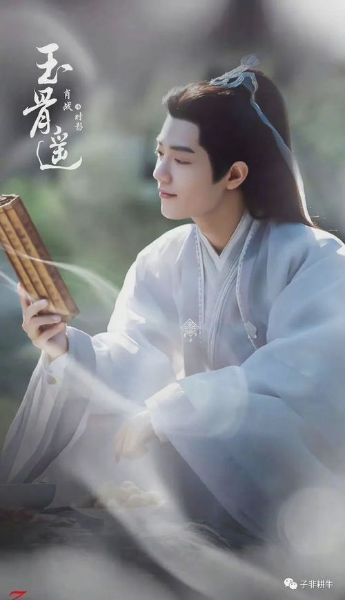 玉骨遥定档倒计时,集数有变动,肖战又一部爆款剧要来了