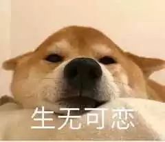 春运回家晕车晕船晕飞机那是因为你没做好这件事