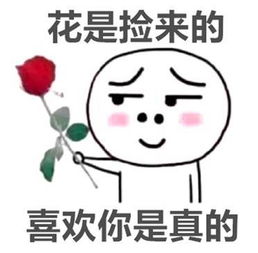 故事征集单身怎么了,你还不给我说了