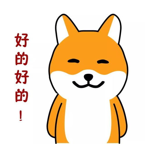 聊天必备丨萌犬年的俏皮表情包来袭