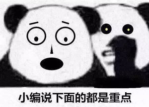 超强台风利奇马来袭这份安全驾驶小贴士请查收