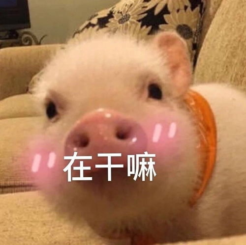 比较搞笑比较皮的朋友圈文案
