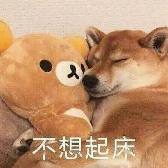 别跟天津人显摆早点,天津人吃早点一个月不重样不服不行