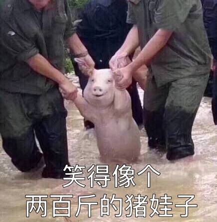 传输运气表情包风景