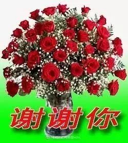 微信感谢表情包合集给过年抢红包的你