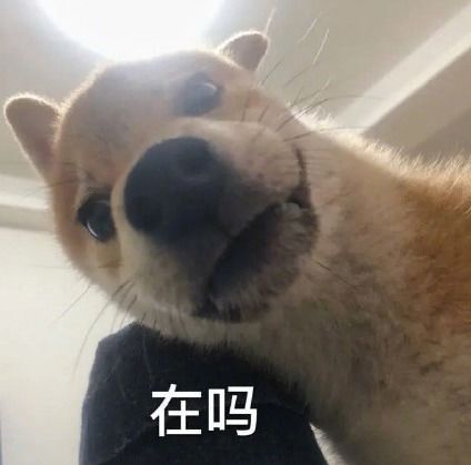 周郁文,你家拆迁了快来办手续