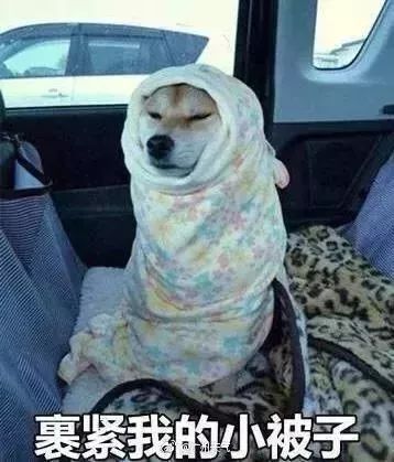 冷冷冷宜昌动物园上演花式过冬视频好好玩