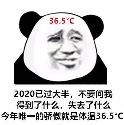 熊猫头表情包想当年我也是叱咤风云的拽姐