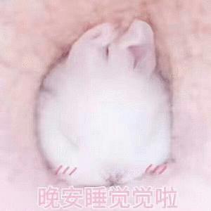 分享和男朋友聊天撒娇的可爱表情包