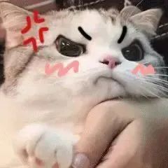 偷看你洗澡动图表情包
