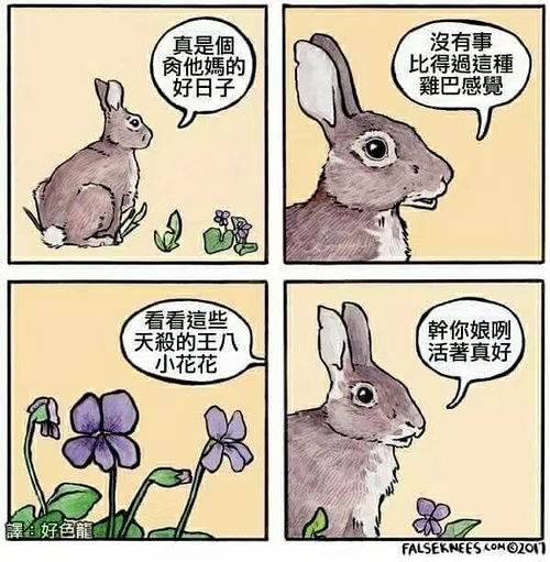 可爱记事簿