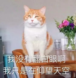 小雨中雨太原人的中秋假期要泡汤了