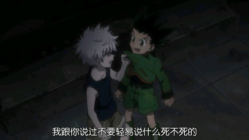 闲聊全职猎人小杰