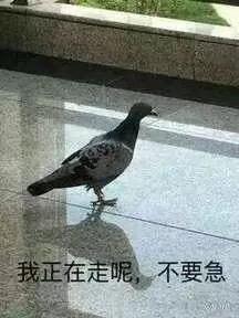 .收藏夹