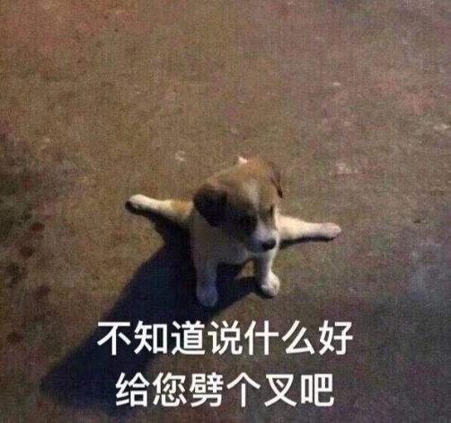 微信表情包设计定制闺蜜