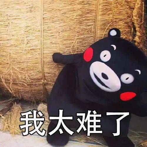 啊进进去了的表情包瑟瑟发抖