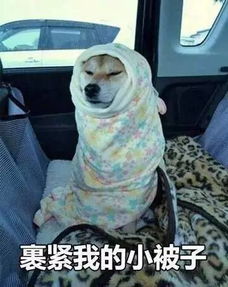那些年错过的大雨这半个月全部还给你,好想告诉你下周下下周尤溪都有雨